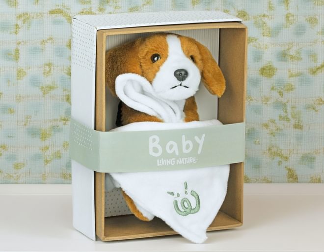 Baby Beagle with Blanket