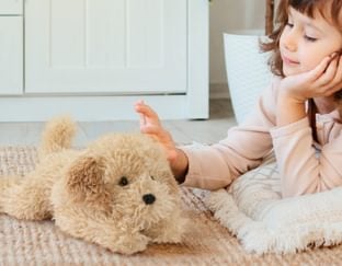 Toy Cockapoo