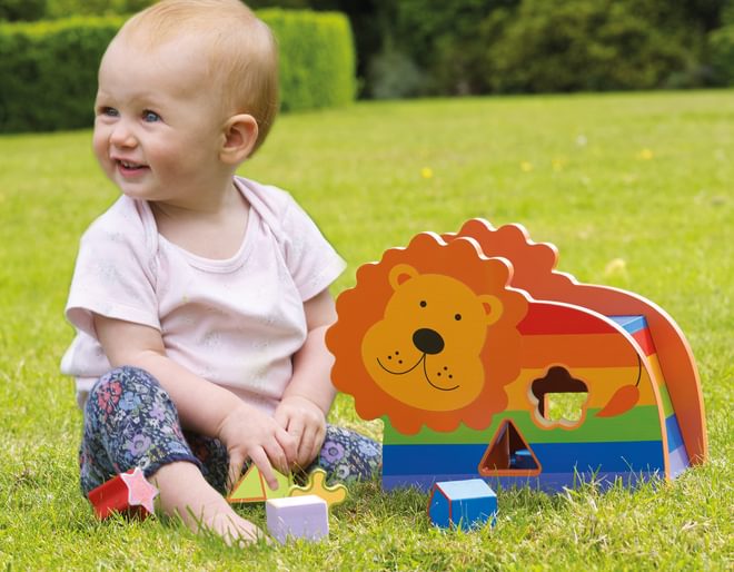 Lion Shape Sorter