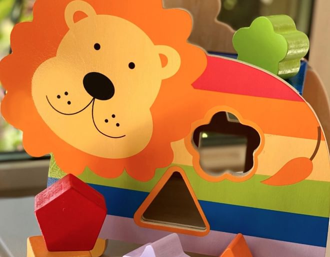 Lion Shape Sorter