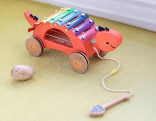 Dinosaur Xylophone