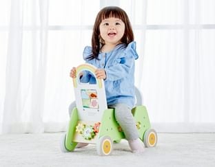 2 in 1 Rider Walker