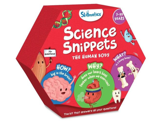 The Human Body Flashcards