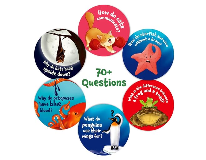 Animal facts flashcards