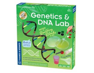 Genetics DNA Box