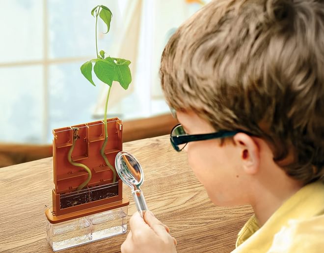 4M Scientific Discovery Set