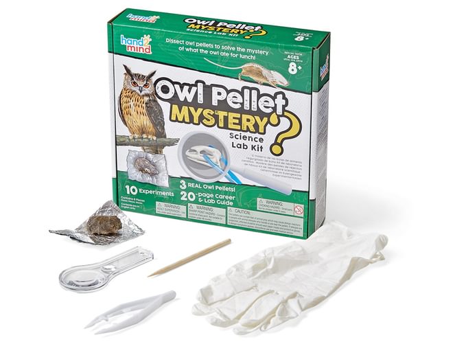 Owl Pellet Mystery