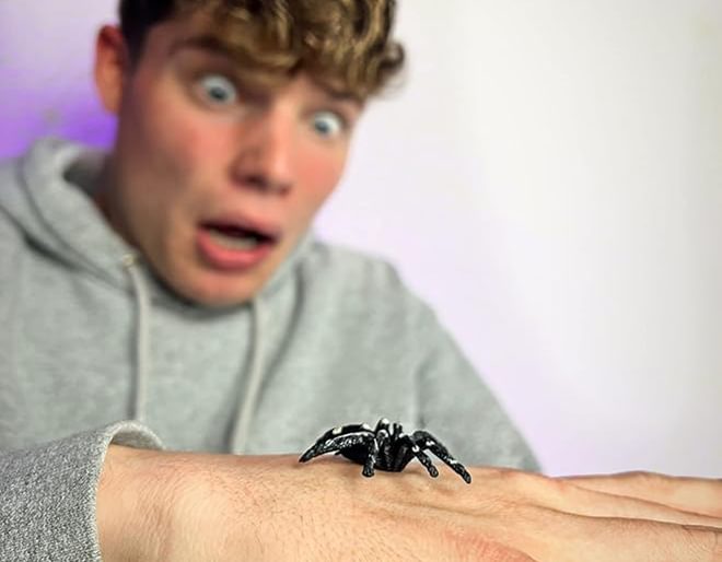 O'Grady's Spider Pack Lifestyle