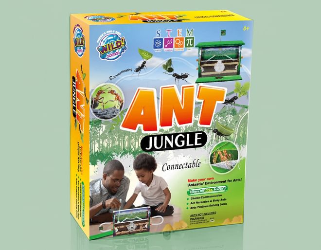 Ant Jungle