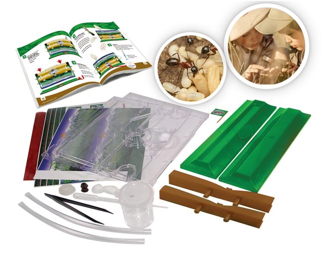 Ant Jungle Set