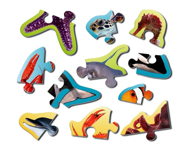 Toddlers Underwater Animals Puzzles