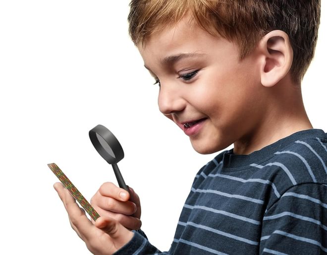 Can you Spy? Animals