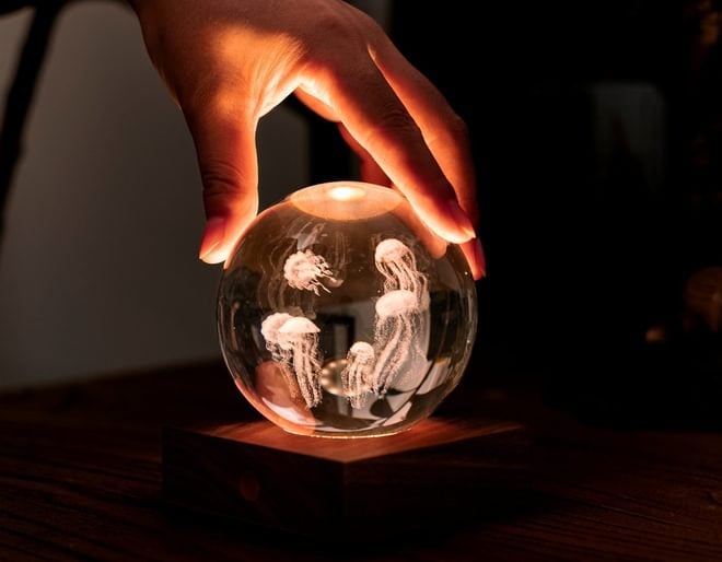 Jellyfish Crystal Light