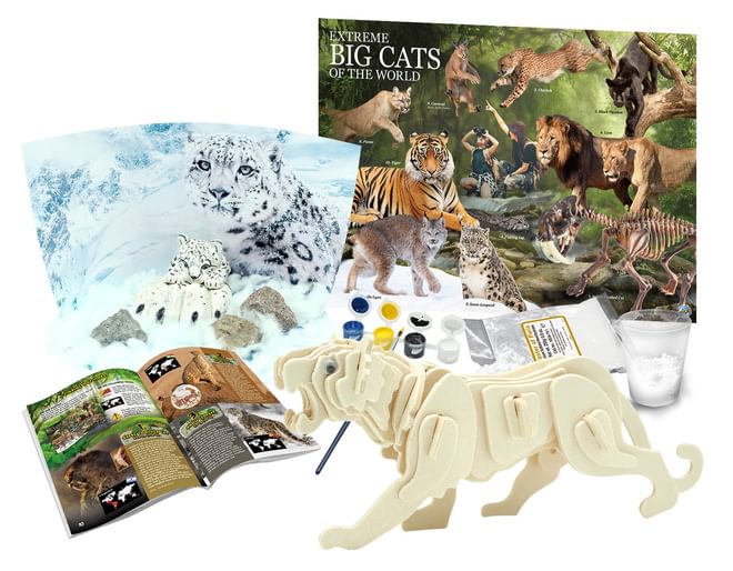 Big Cats Modelling Kit