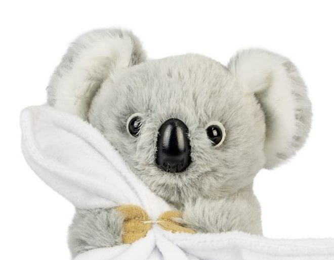 Baby Koala Soft Toy
