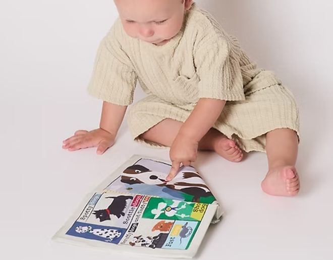 Toddlers crinkly book