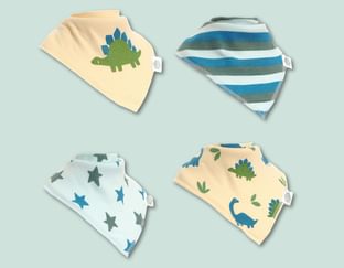 Dinosaur Bandana Dribble Bibs