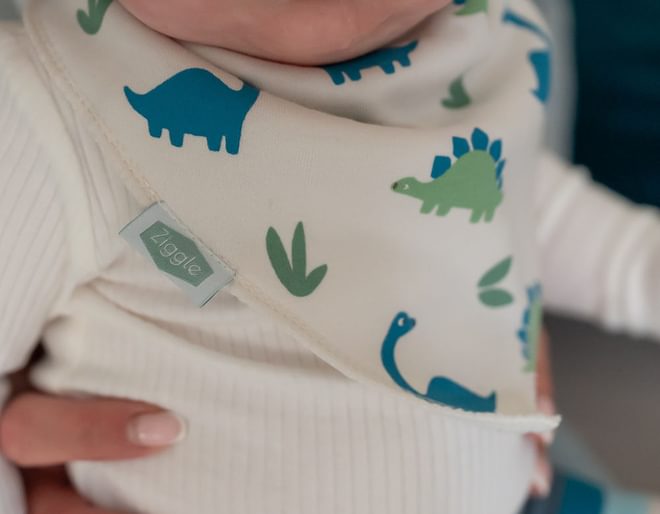 Dinosaur Bandana Dribble Bibs