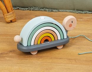 Pull Along Turtle