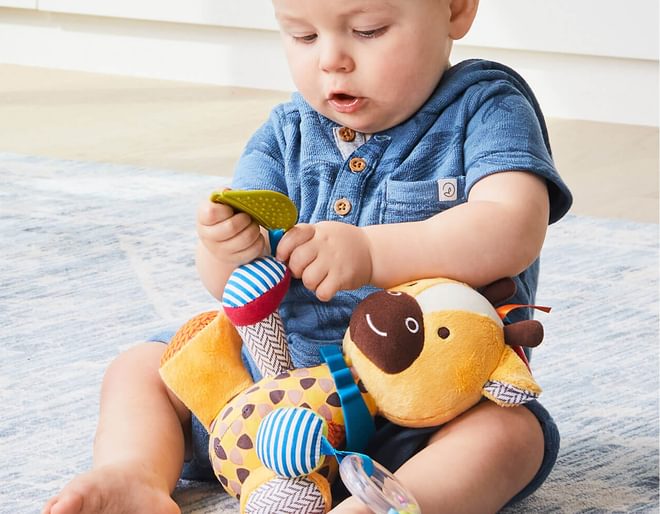 Giraffe Activity Toy