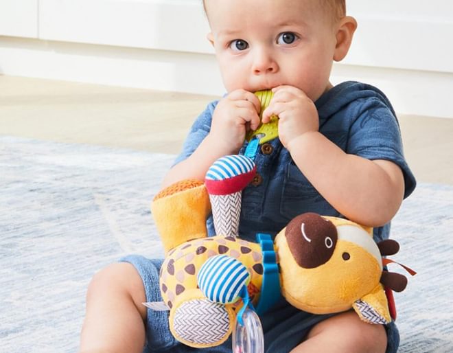 Giraffe Activity Toy Lifestyle