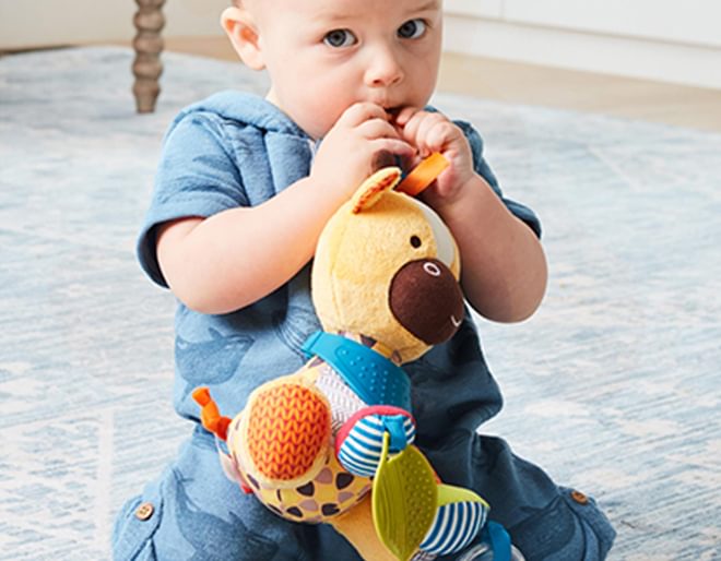 Giraffe Activity Toy