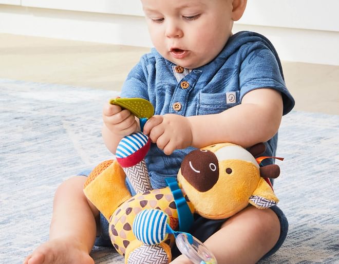 Giraffe Activity Toy