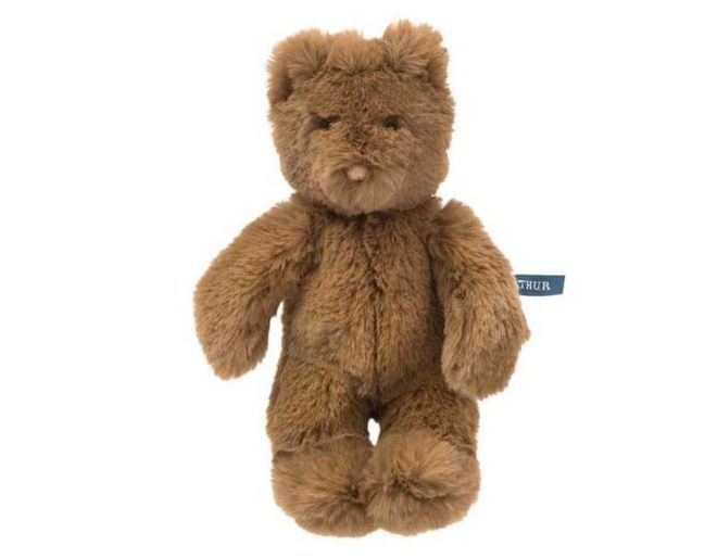 Soft cuddly teddy bear