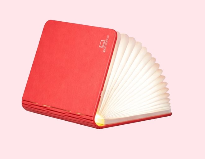 Mini Smart Book Light