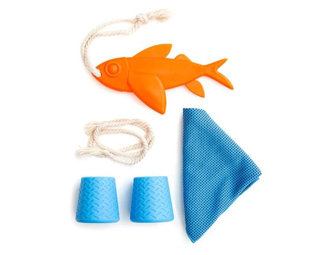 Dog Beach Day Kit