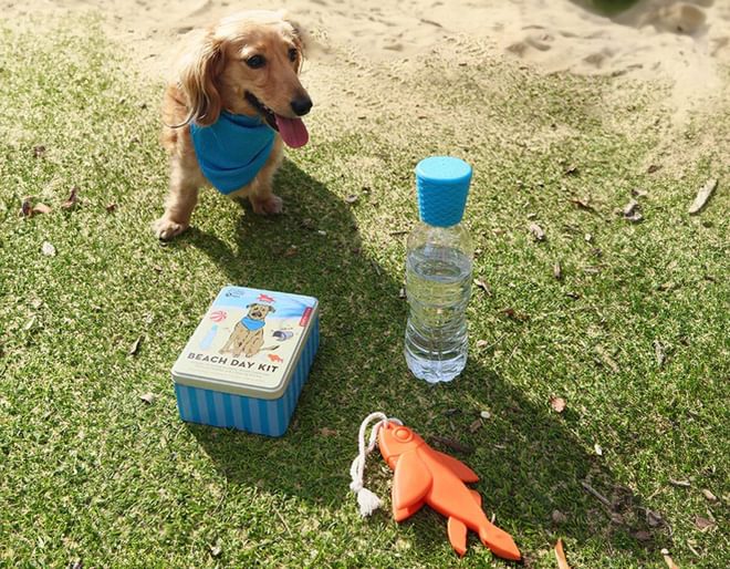 Dog Beach Kit