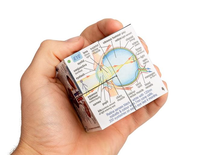 Human Body Cube Book - Clever!