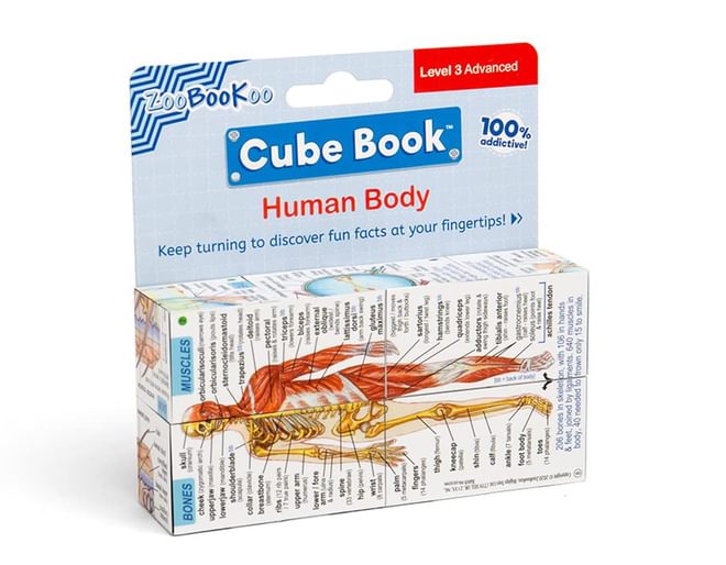 Human Body Cube Close Up