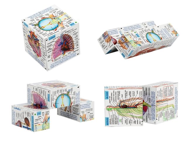Human Body Cube Unfolded