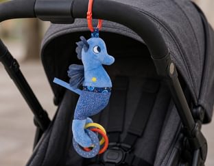 Activity Seahorse