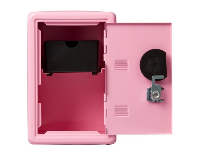 Mini Pink Safe