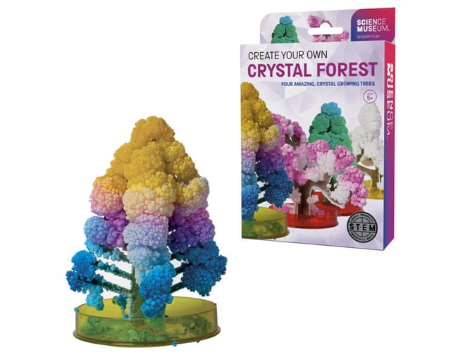 Create Your Own Crystal Forest