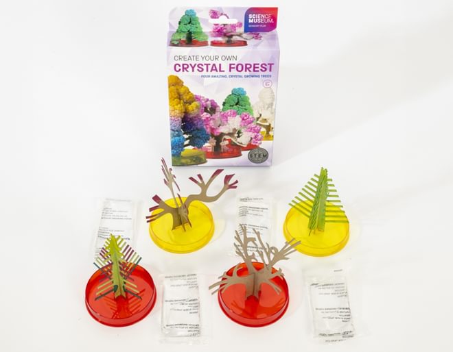 Create Your Own Crystal Forest Contents