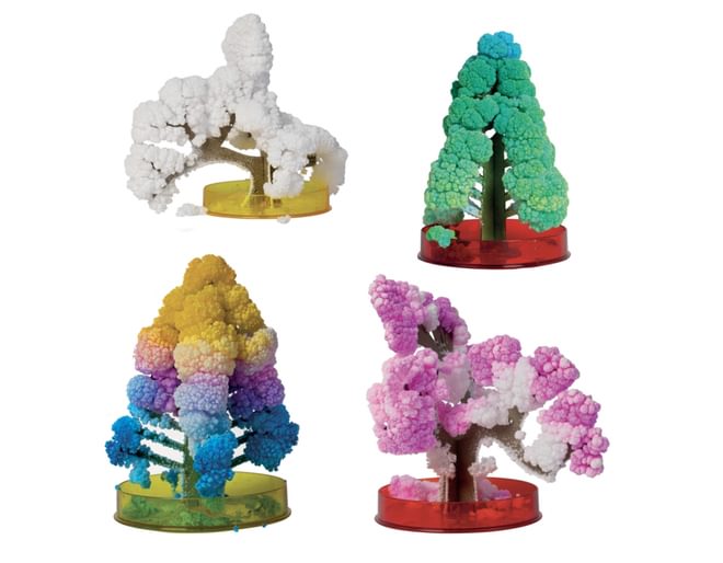 Create Your Own Crystal Forest