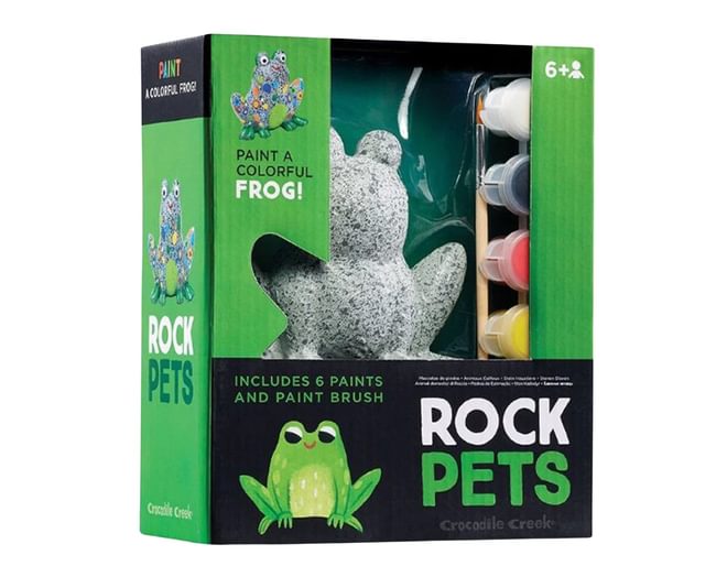 Rock Pets Frog Painting Set