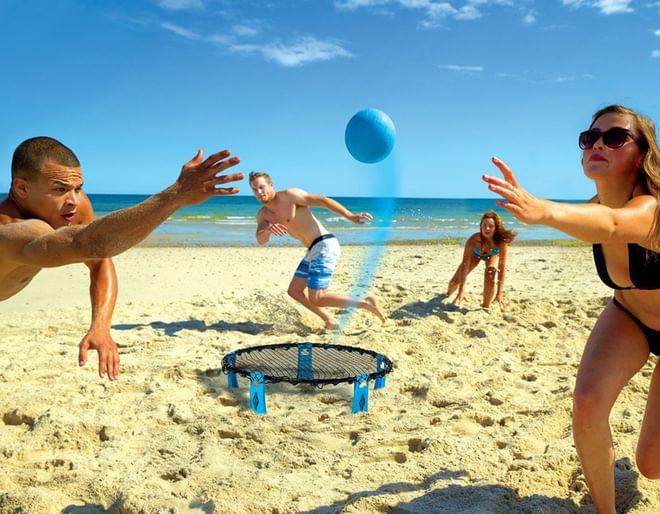 Spyderball lifestyle