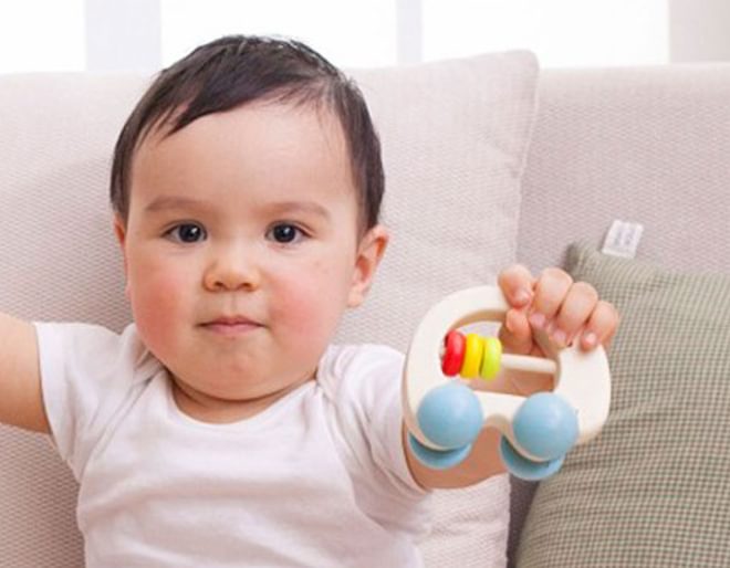 Elephant Rattle Lifestyle