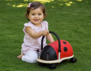 Ladybird Wheely Bug