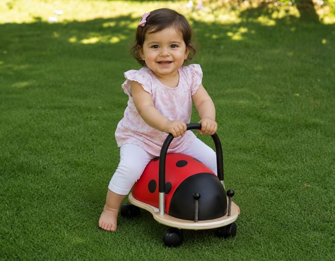 Ladybird Wheely Bug Toy