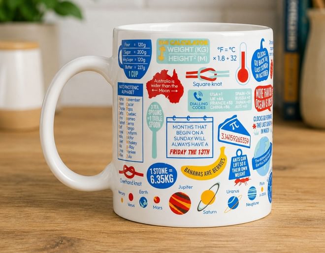 Really Useful Facts Mug