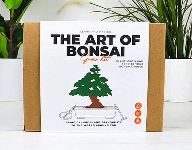 The Art of Bonsai Growing Kit