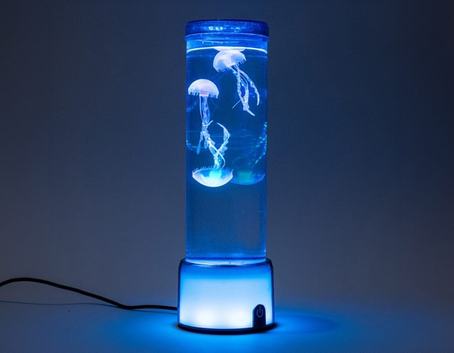 Jellyfish Tank Mood Light The Source