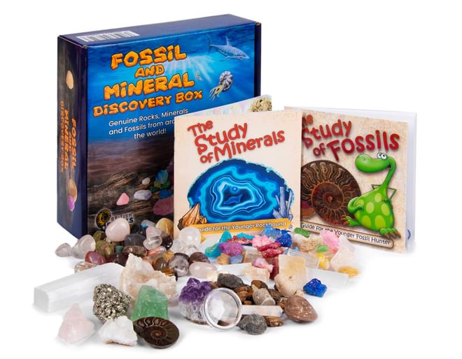 Fossil and Mineral Discovery Box