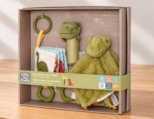 Dinosaur Baby Gift Box