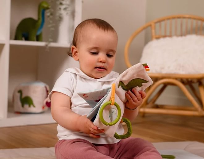 Dinosaur Baby Gift Box Cloth Book